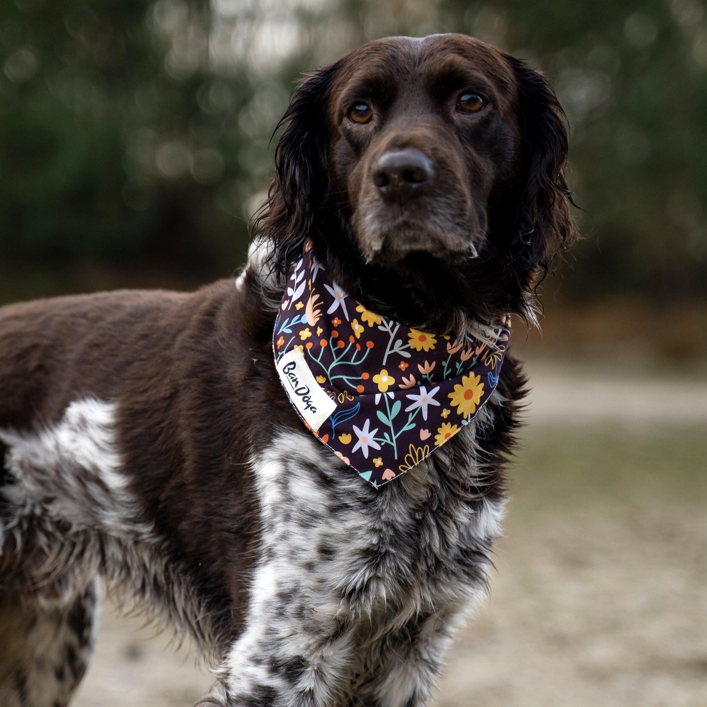 Flower Fall Dog Bandana - Bandoga