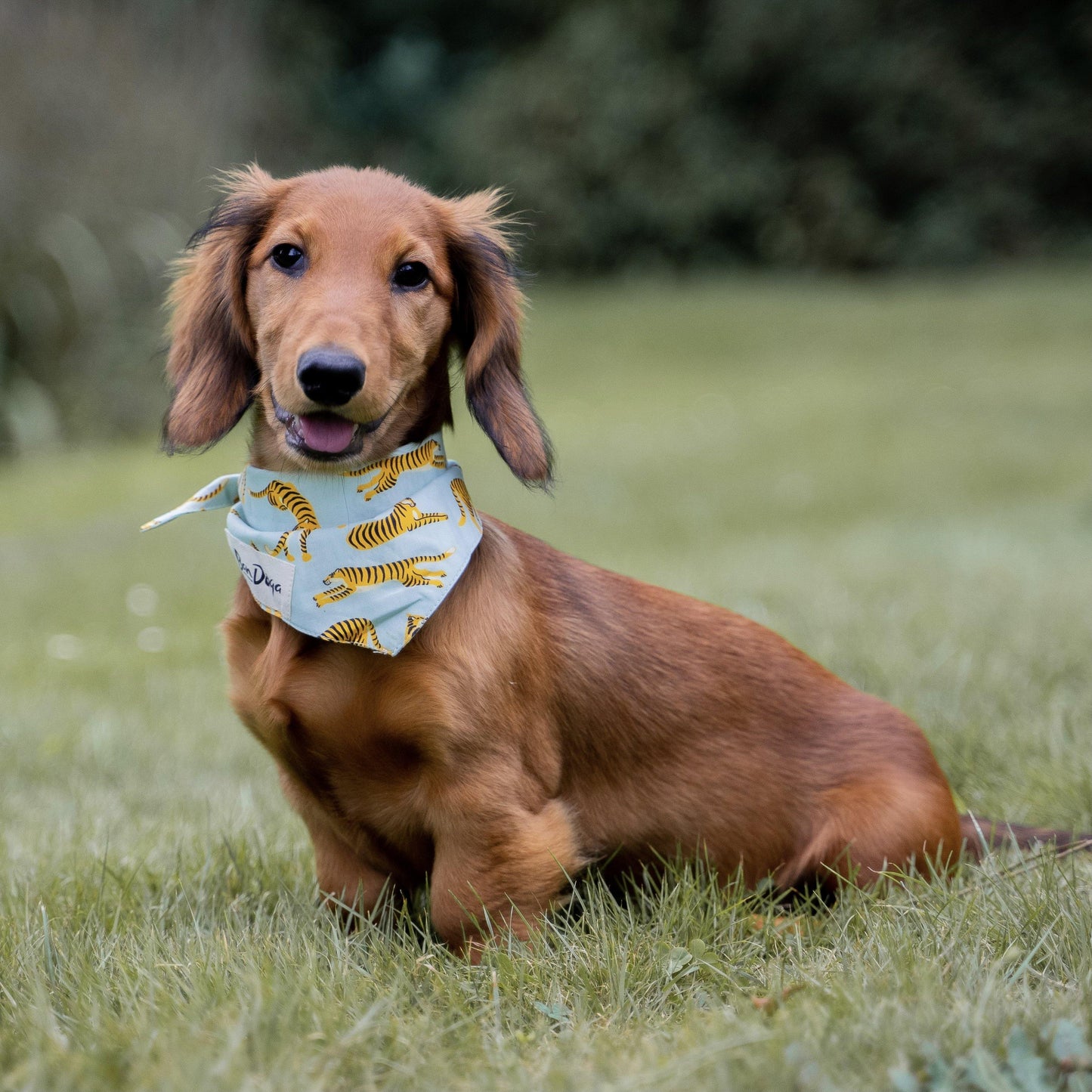 Turquoise Tiger Dog Bandana - Bandoga
