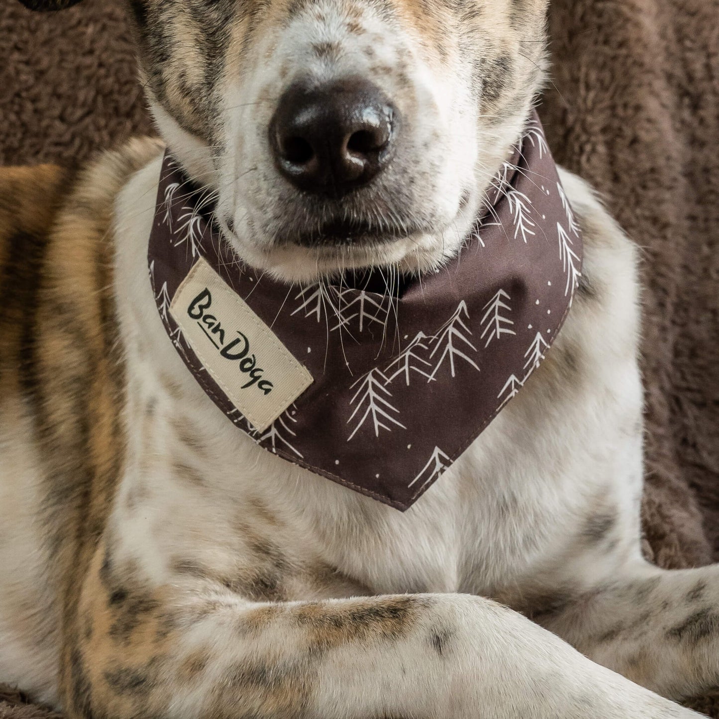 Forest Dog Bandana