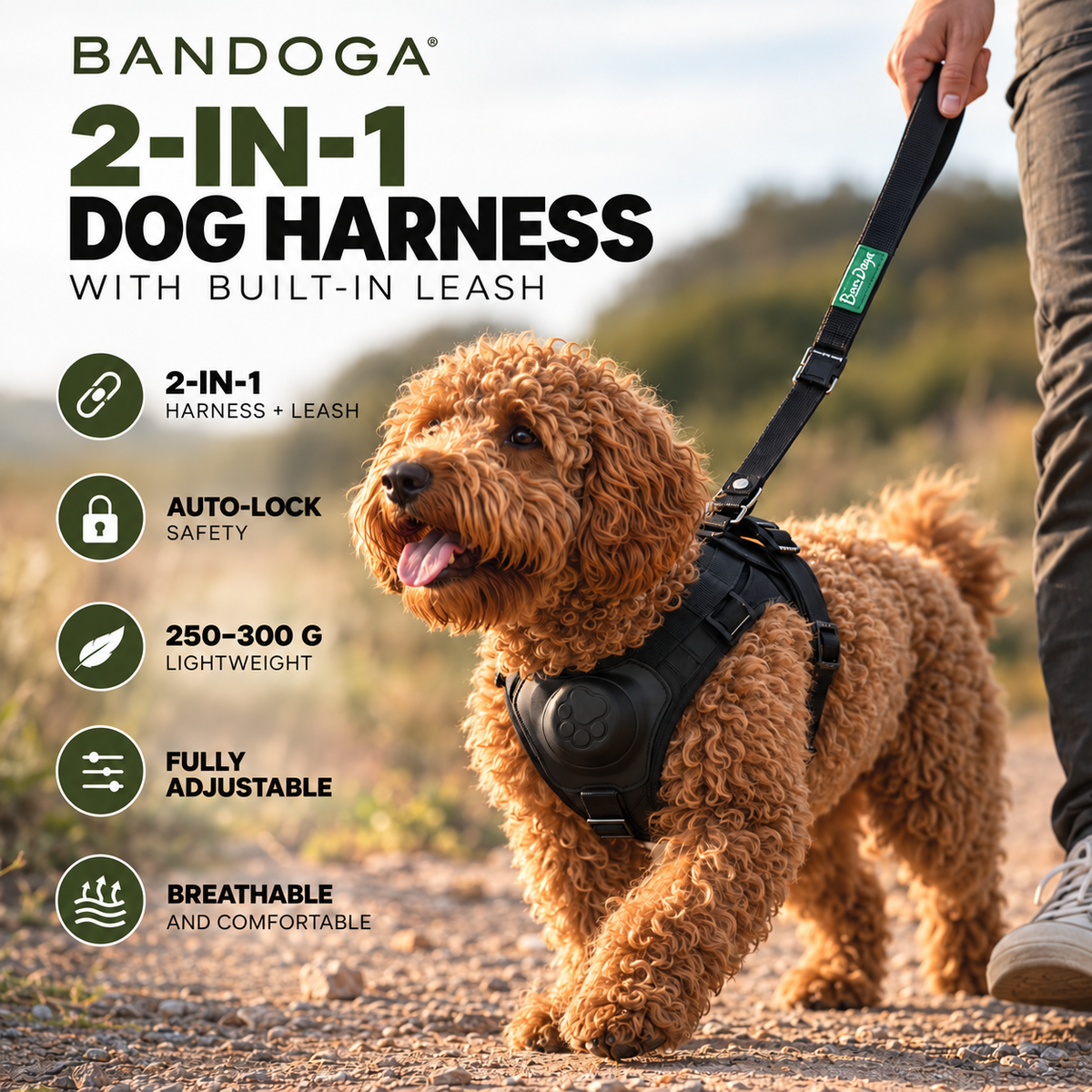 Bandoga 2-in-1 dog harness with built-in leash worn by a dog, with key features