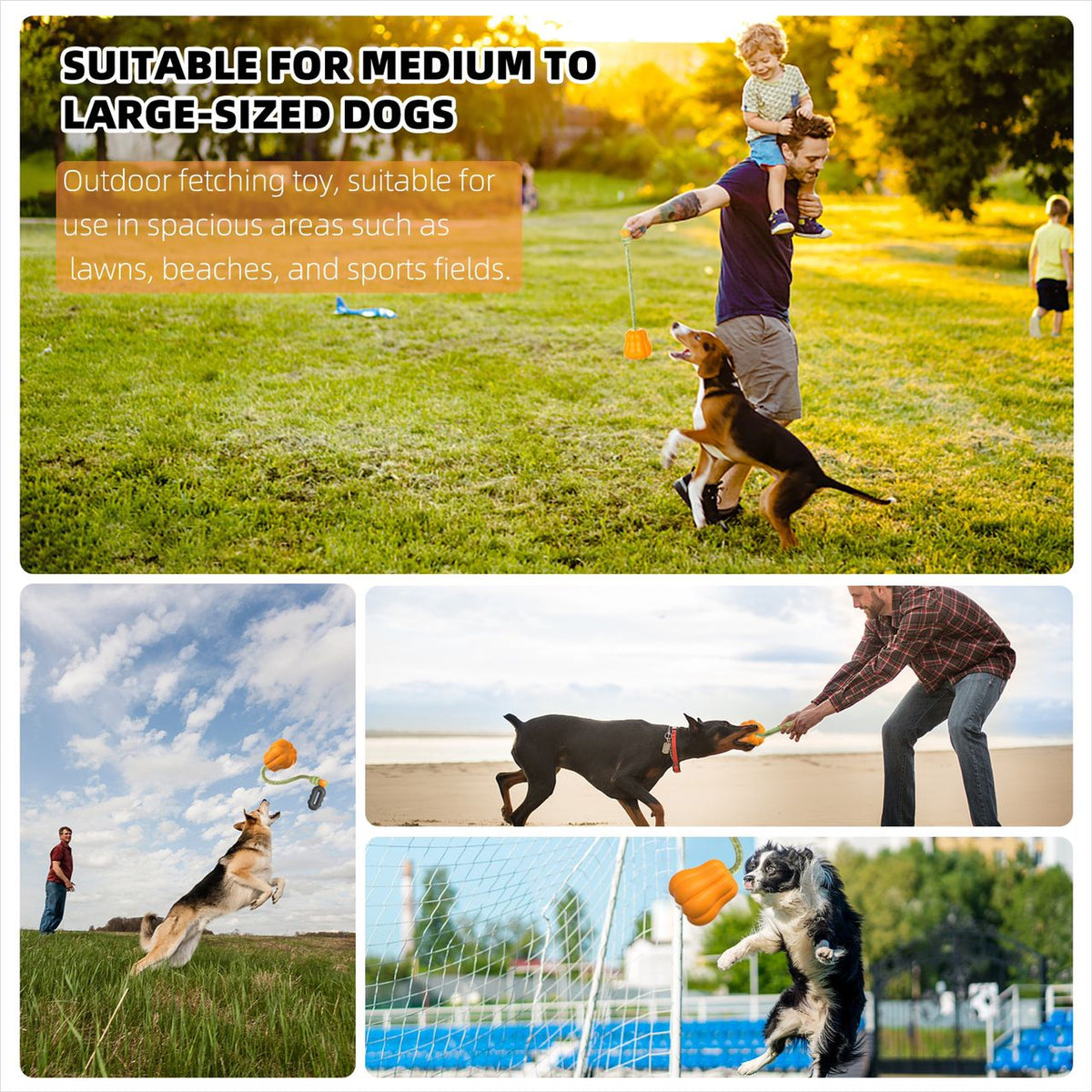 Bandoga Pumpkin Fetch Toy – robustes & interaktives Hundespielzeug