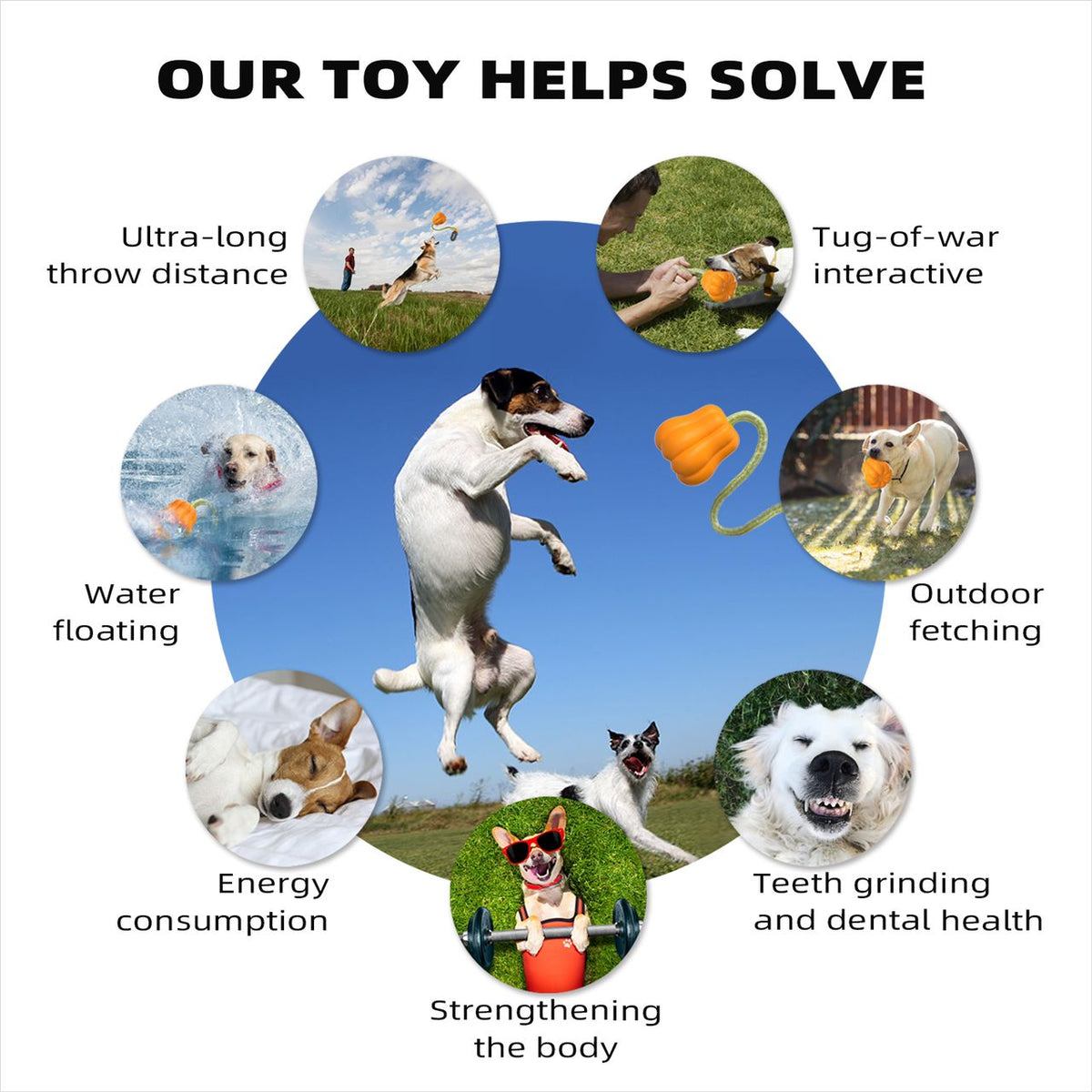 Bandoga Pumpkin Fetch Toy – robustes & interaktives Hundespielzeug