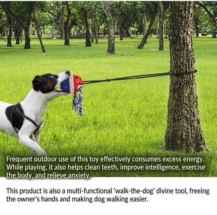 Interactive Dog Toy with Tug Rope and Treat Ball
