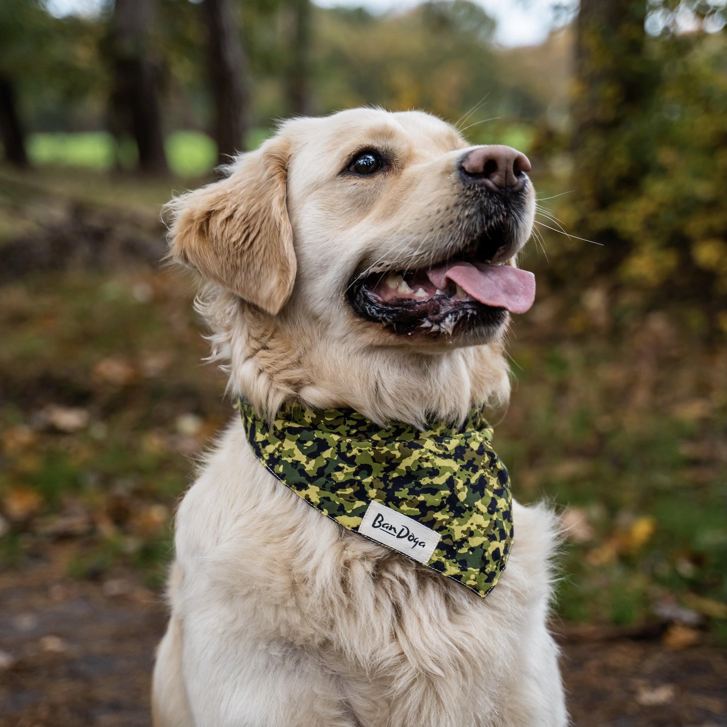 Camouflage Dog Bandana Golden Retriever